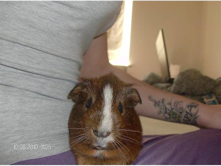 {{currentPhoto.altText}} billede {{currentPhoto.number}}