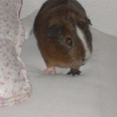 Marsvin King John John Carlos<3