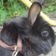 Kanin Marie <3 R.I.P :'(