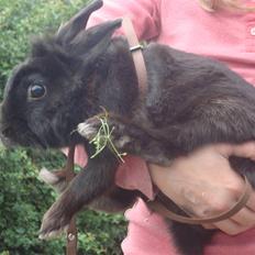 Kanin Marie <3 R.I.P :'(