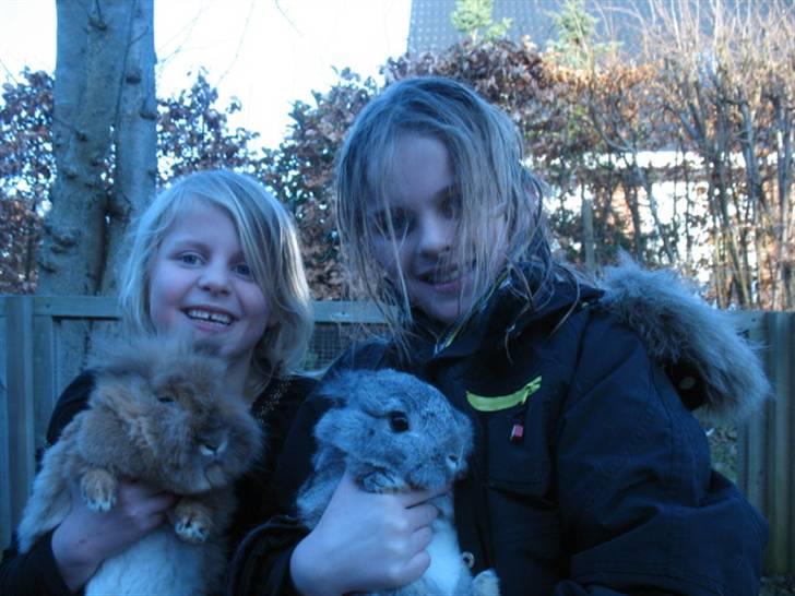 Kanin Beauty R.I.P - Sofia med Nusse og mig med Beauty billede 11