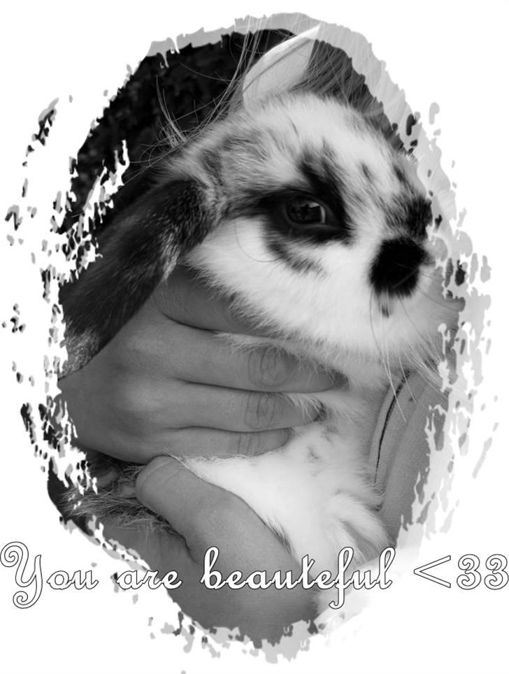 Kanin Snuske my soulmate<33 - Snuske snuske billede 11