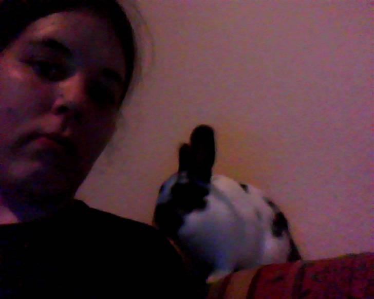 Kanin Jumper *solgt* billede 7