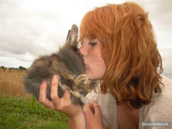 Kanin TEDDY-Rabits Eldina ;D billede 9