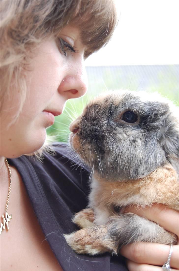 Kanin Speedy - In loving memory. - Der er ingen som dig :* billede 10