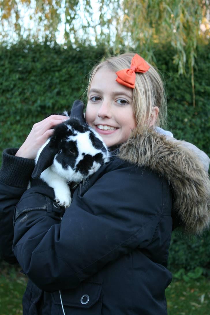 Kanin Toby Dværgkanin - mahahahaha love ya billede 4