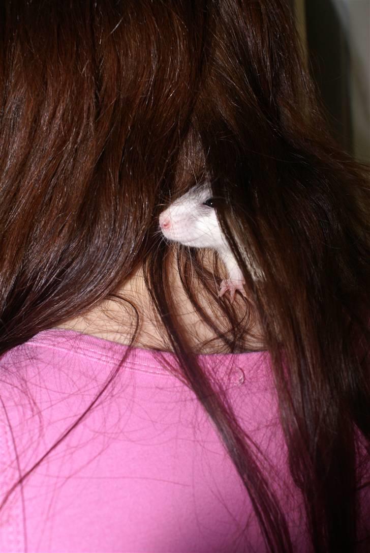 Tamrotte Marcella <3 - Gemme leg :D billede 16