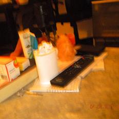 Hamster Jay (Elmo) R.I.P.