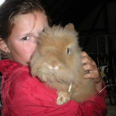 Kanin Obelix:D ( Obbe )