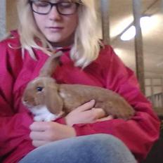 Kanin Grundet Bakkes Estella