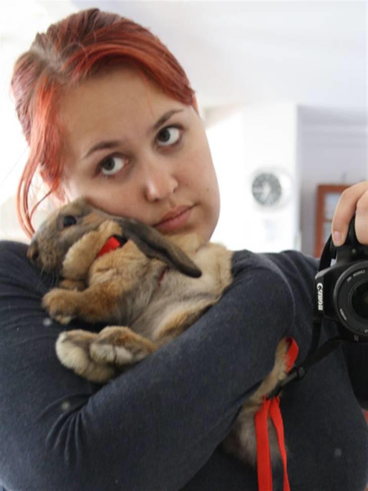 Kanin Bailey billede 1