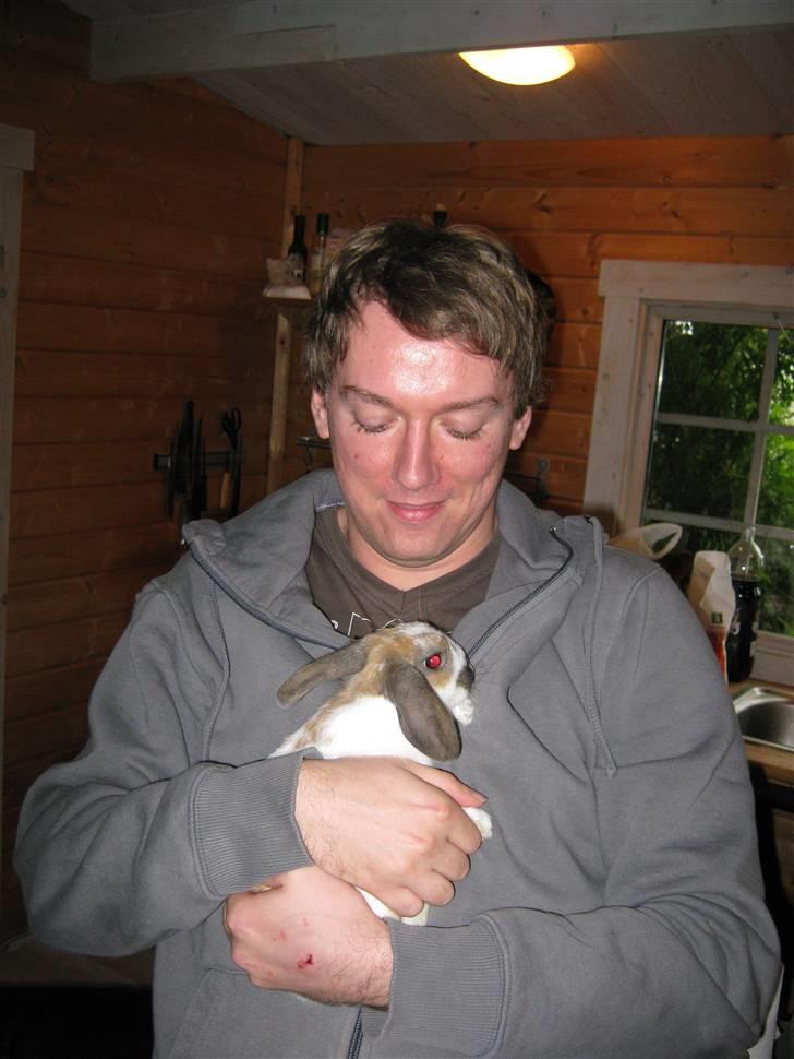 Kanin Baby Wabsi billede 4