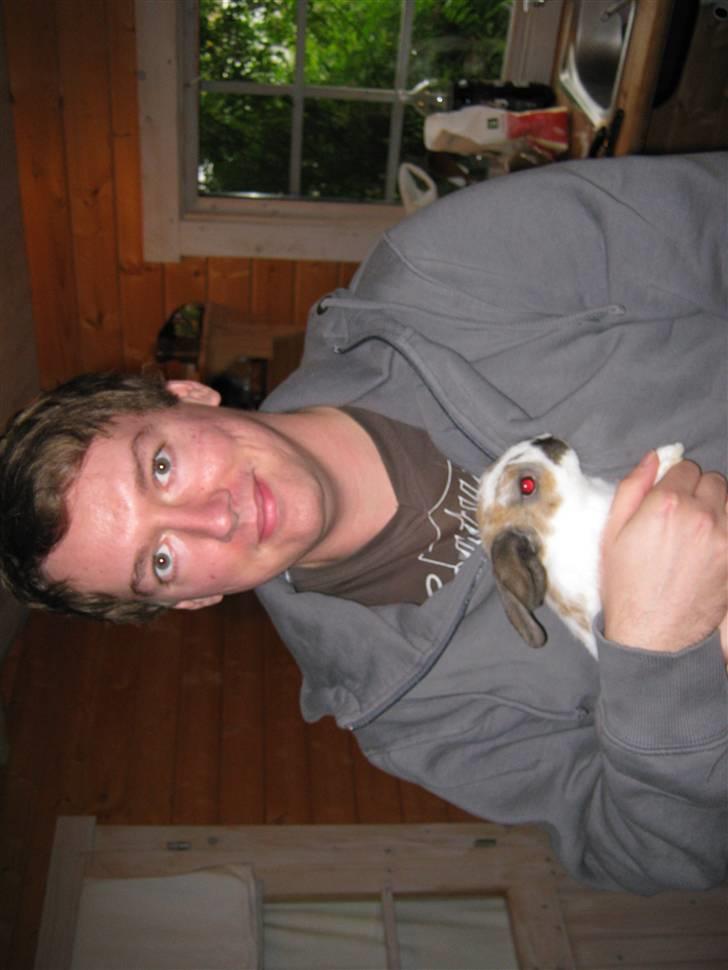 Kanin Baby Wabsi billede 5