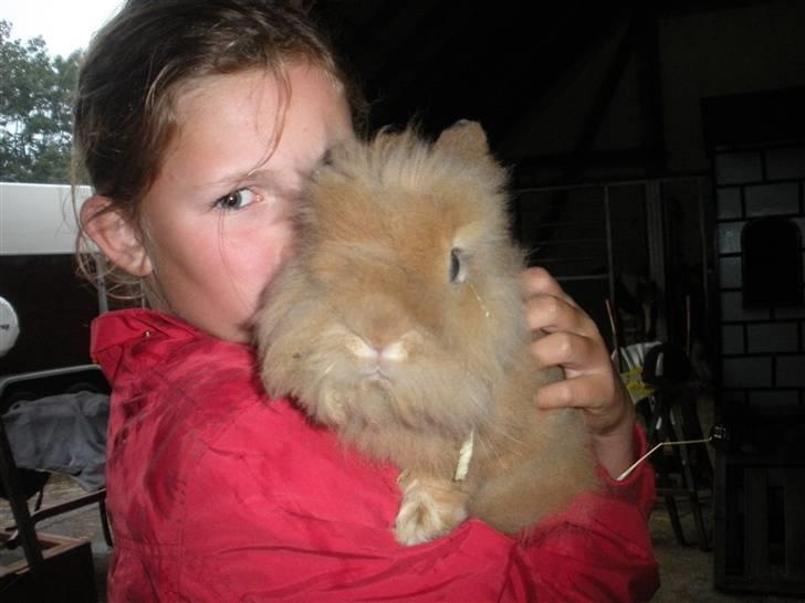 Kanin Obelix:D ( Obbe ) - Ninus´en og mig:D billede 2