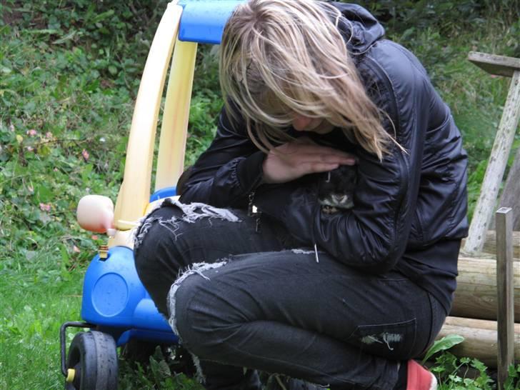 Kanin Oscar<3 billede 5