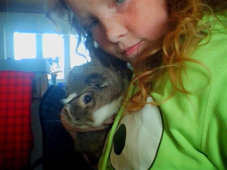 Marsvin Prins Pjuske billede 4