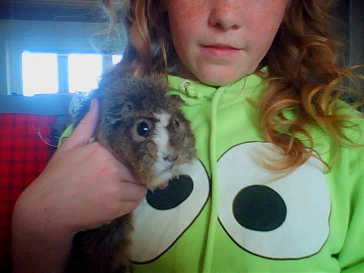 Marsvin Prins Pjuske billede 5