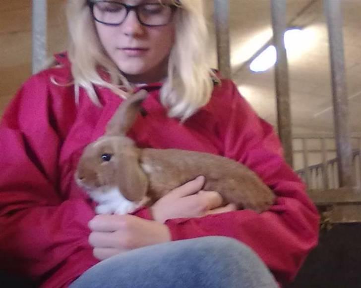 Kanin Grundet Bakkes Estella - Den dag jeg fik hende :* billede 1