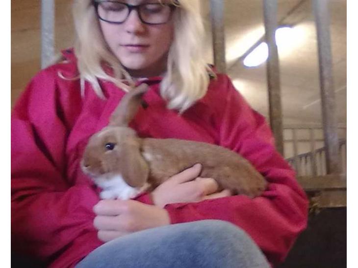 Kanin Grundet Bakkes Estella - Den dag jeg fik hende :* billede 1
