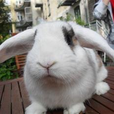 Kanin Sortsky aka Bassemand! :D