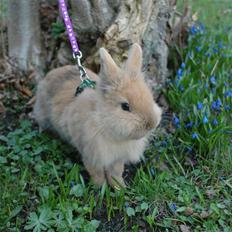 Kanin Bailey my Dream<3