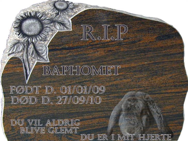 Kanin Baphomet (R.I.P) billede 12