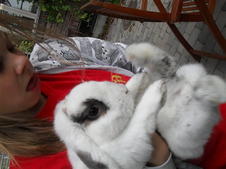 Kanin Sortsky aka Bassemand! :D - øv altså jeg vil lege mere  billede 7