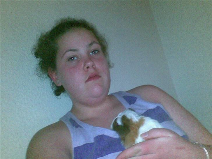 Marsvin pjuske billede 11