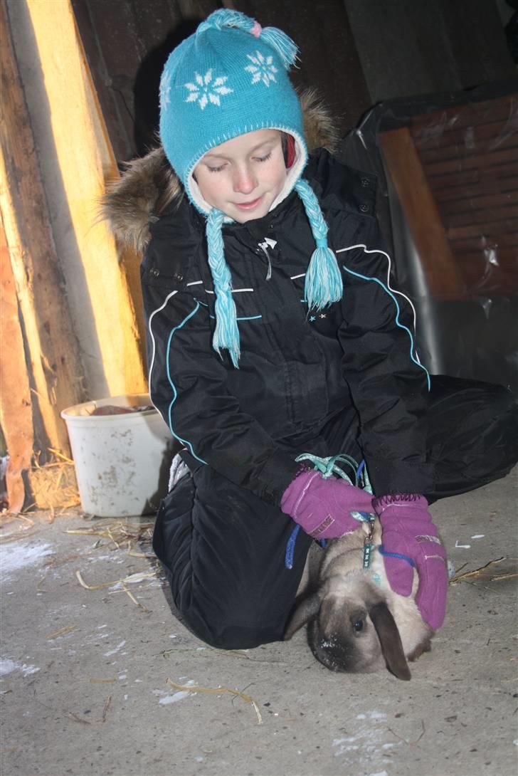 Kanin Fløde  - Mig og fløde d. 30 november billede 6