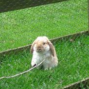 Kanin Boysen ( Boys <3) - mit et & alt <3 