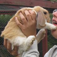 Kanin Boysen ( Boys <3) - mit et & alt <3 