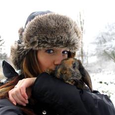 Kanin MaPos De La Manifik