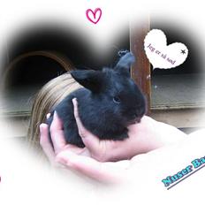 Kanin Bandit † R.I.P.†