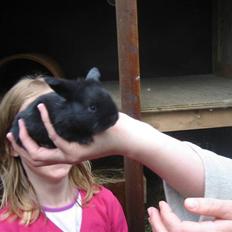 Kanin Bandit † R.I.P.†