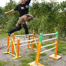 Kanin Winds Ch. Fido Dido Boy