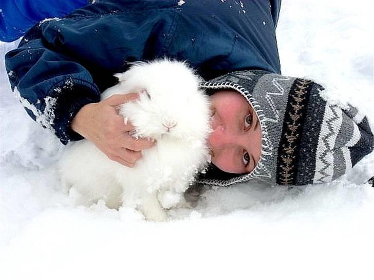 Kanin Evita <3 billede 5