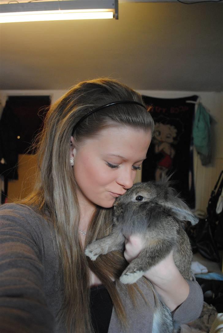 Kanin Doug's Nimbus  - Looooove him <3 billede 5
