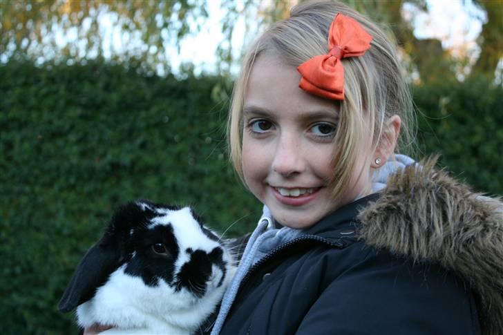 Kanin Toby Dværgkanin - <3<3 billede 11