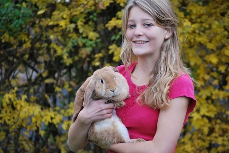 Kanin Tiger billede 15