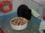 Hamster Eddie, min øjesten! -  *RIP 5/3 2012* :'(