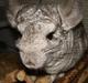 Chinchilla Bente