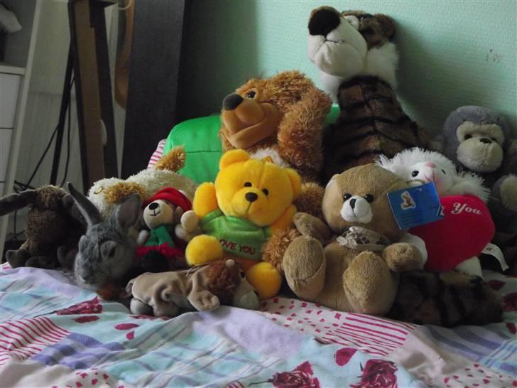 Kanin Elliot - #6 tja.....Find kaninen? billede 6