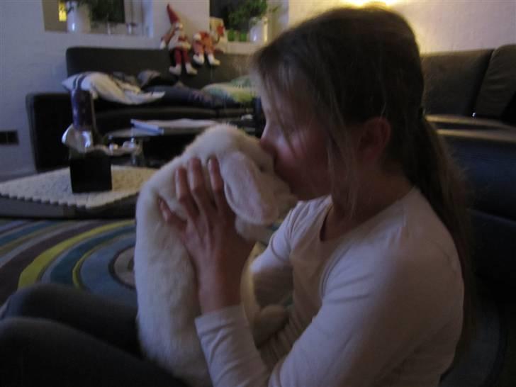 Kanin Stampe..R.I.P, SAVNER DIG <3  - nysser + nysser   billede 1