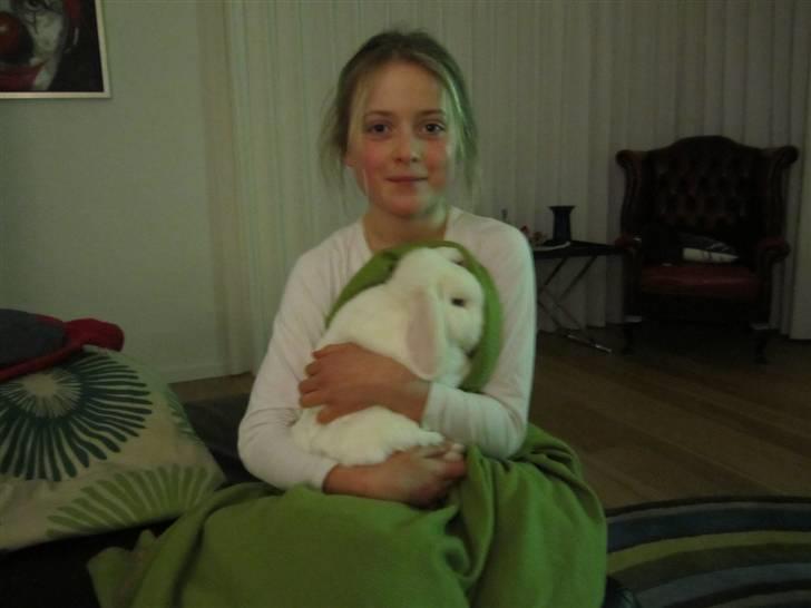 Kanin Stampe..R.I.P, SAVNER DIG <3  - han sover nesten:-) sysh billede 2