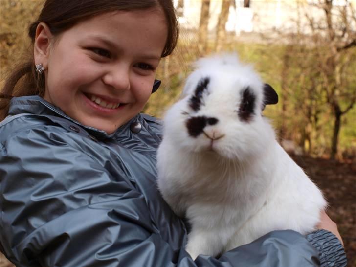 Kanin kashmir billede 3