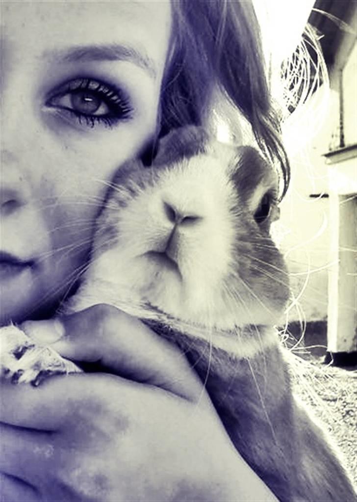 Kanin Cody - the Blue Eye <3 - Mig og Cody :)  billede 5