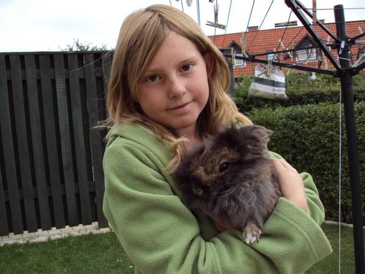 Kanin *Rikke&Sia / / Stald Jürs* Trunde - Min lillesøster og Trunde <3 billede 5