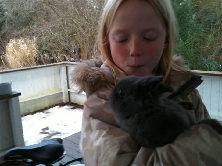 Kanin stald loppernes Gråbaby<3 - Nicoline holder ham!!:D billede 2