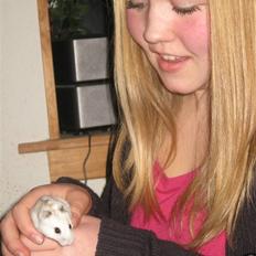 Hamster Bobbi -R.I.P-