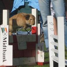 Kanin Wind's Blackear